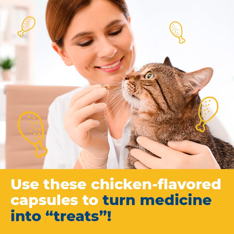 Capsuline PetCaps comparaison taille avec pièces pour visualiser dimensions