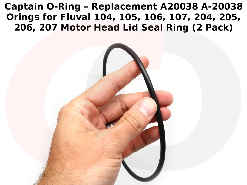 Captain O-Ring a20038 comparaison taille avec règle assure ajustement précis