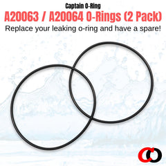 Captain O-Ring comparaison taille avec filtre Fluval pour vérifier compatibilité simple