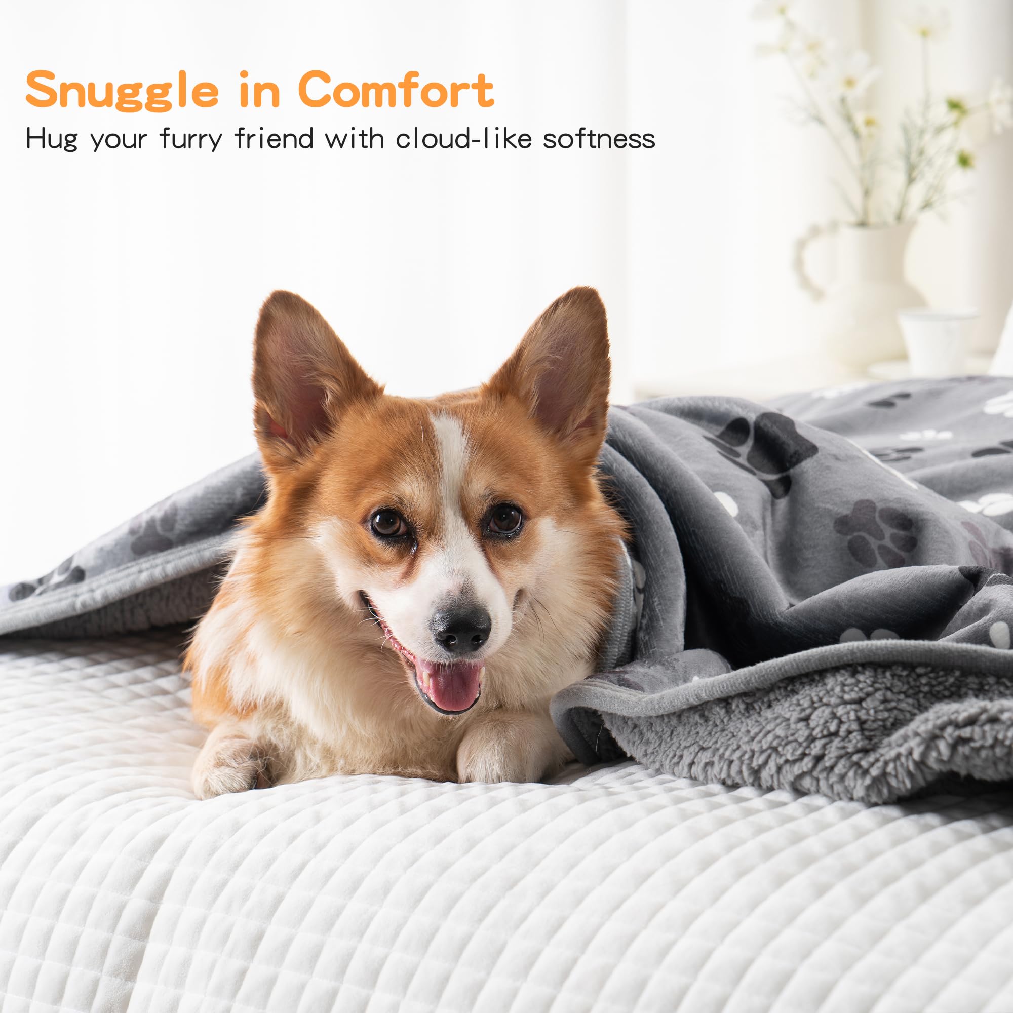 CAPT.SNOOZE grand chien allongé sur le plaid confortable