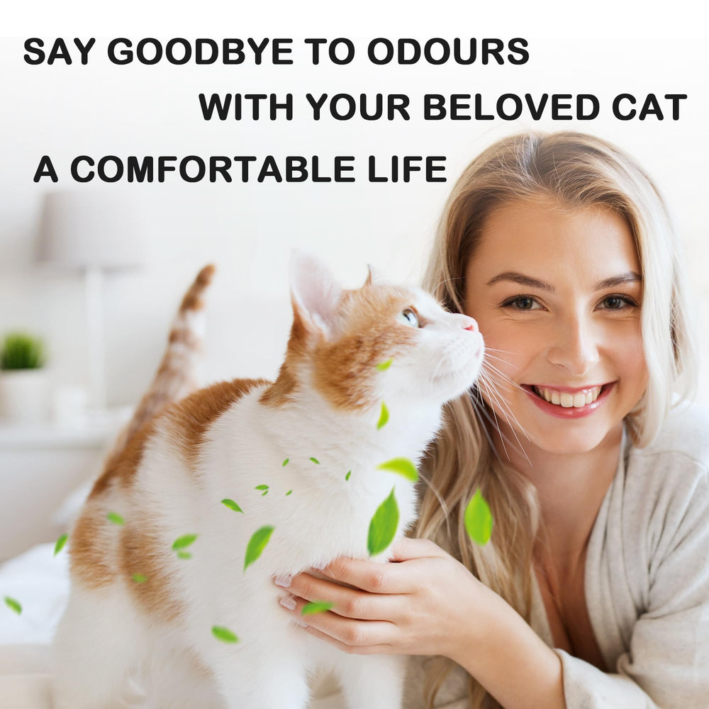 caqeaus filtres en décor intérieur, meilleure qualité d'air ambiante