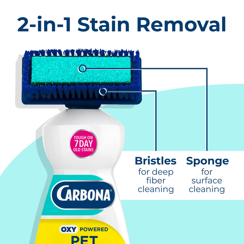 Carbona comparaison avant et après, moquette rafraîchie sans odeur