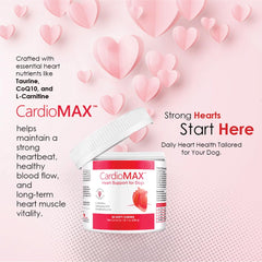 CARDIOMAX chews dans une main démontrant taille et portion adaptées