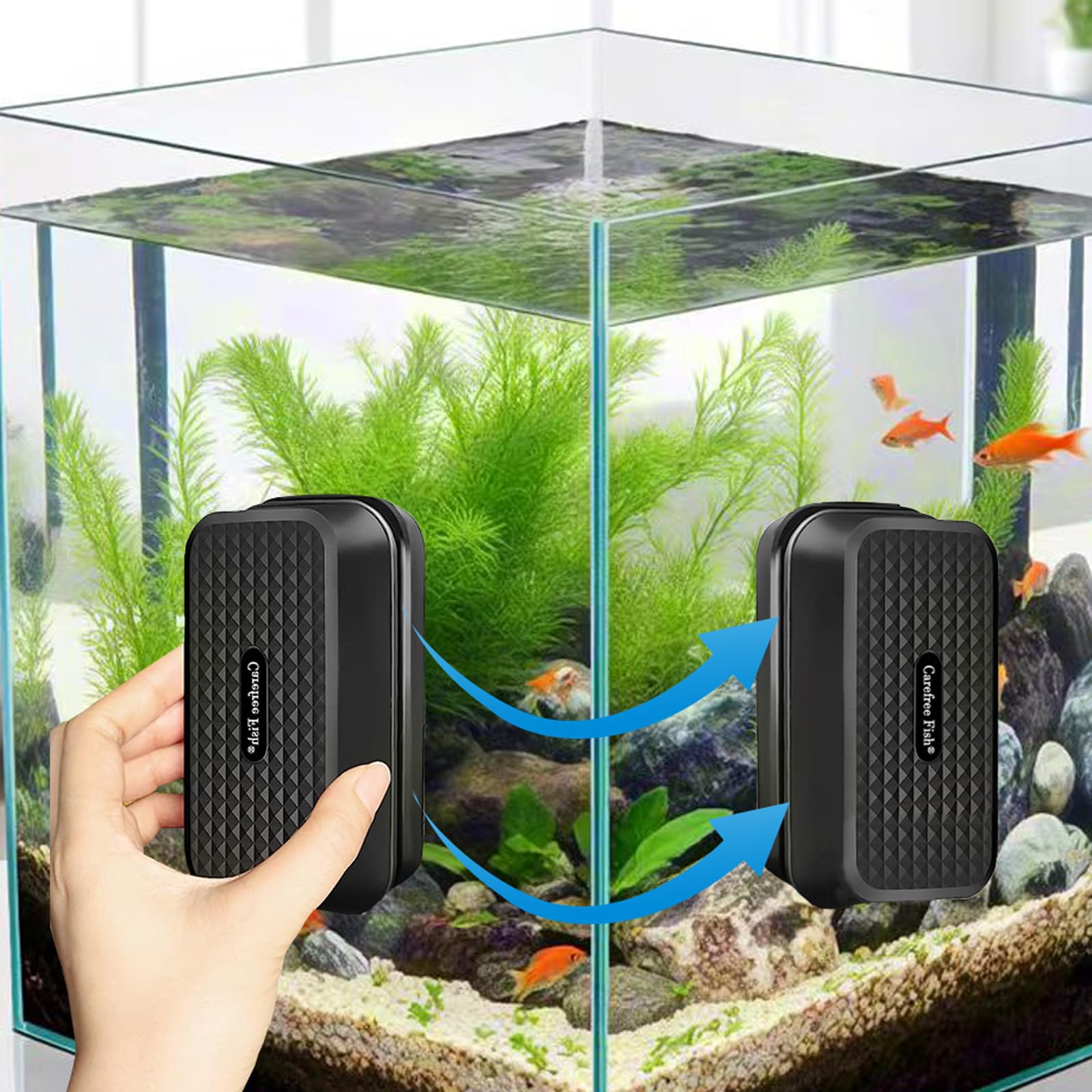 Carefree Fish comparaison de taille dans une main montrant compacité et rangement pratique