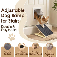 Careov rampe utilisée par un Corgi, facilite montée en douceur