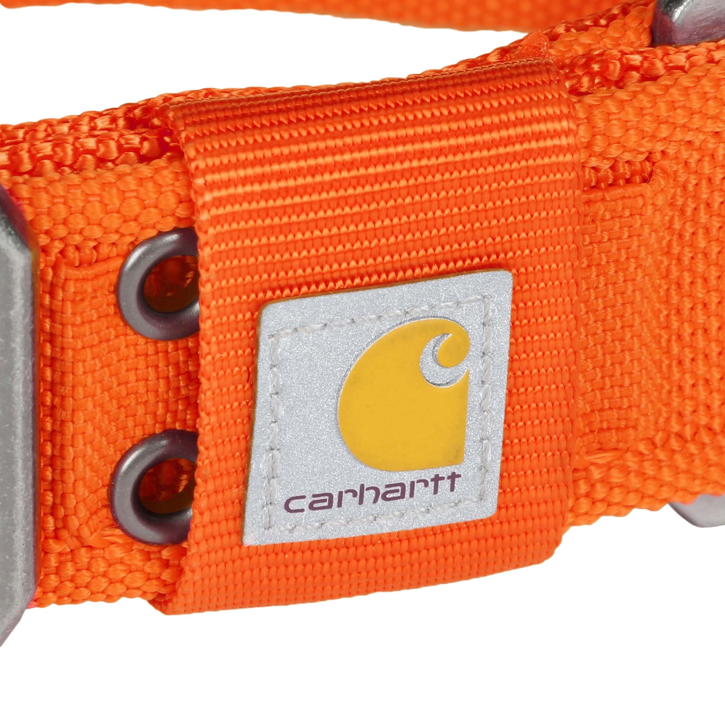 Carhartt boucle double-ardillon métal offrant maintien sécurisé pour grands chiens