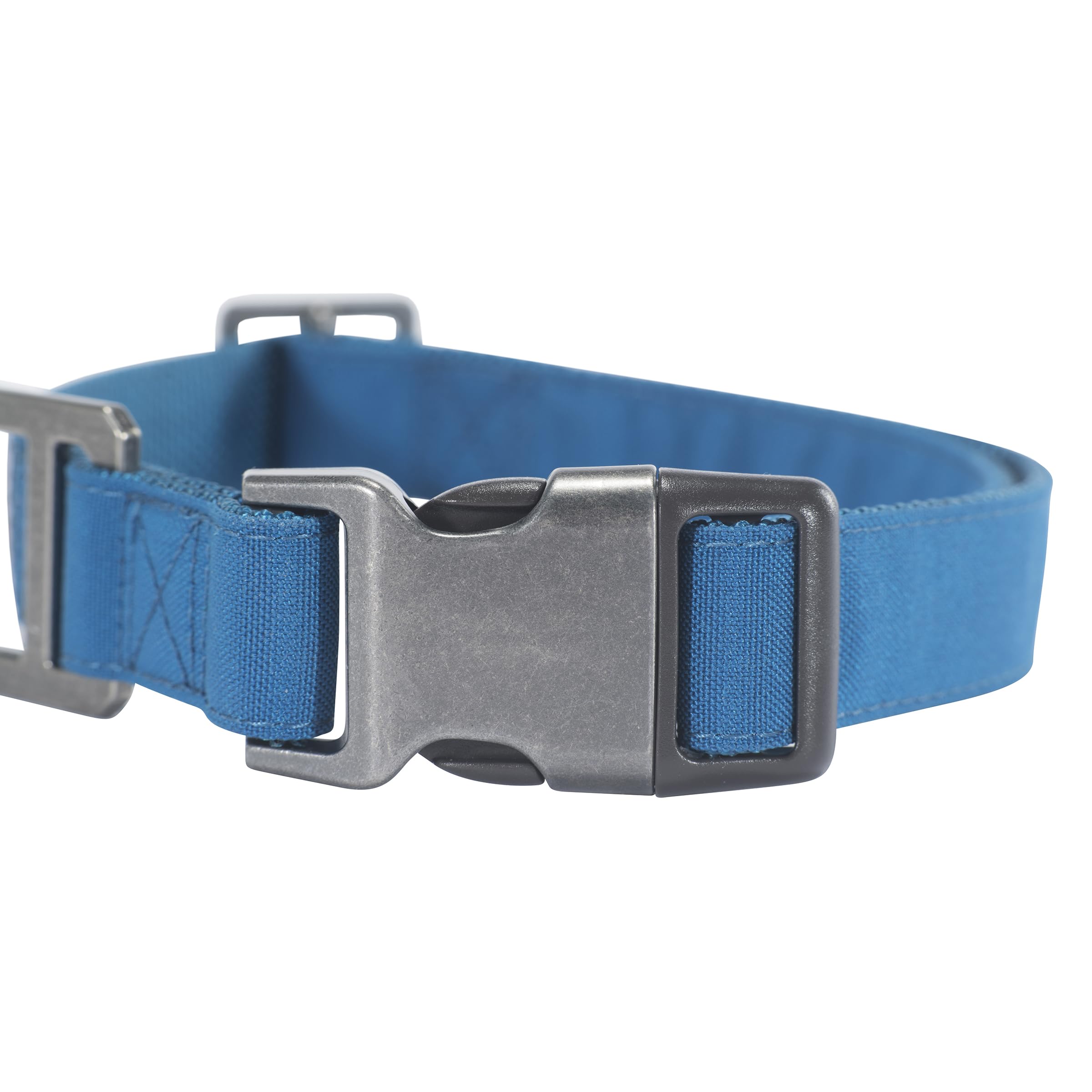 Carhartt collier en usage promenade améliorant visibilité nocturne