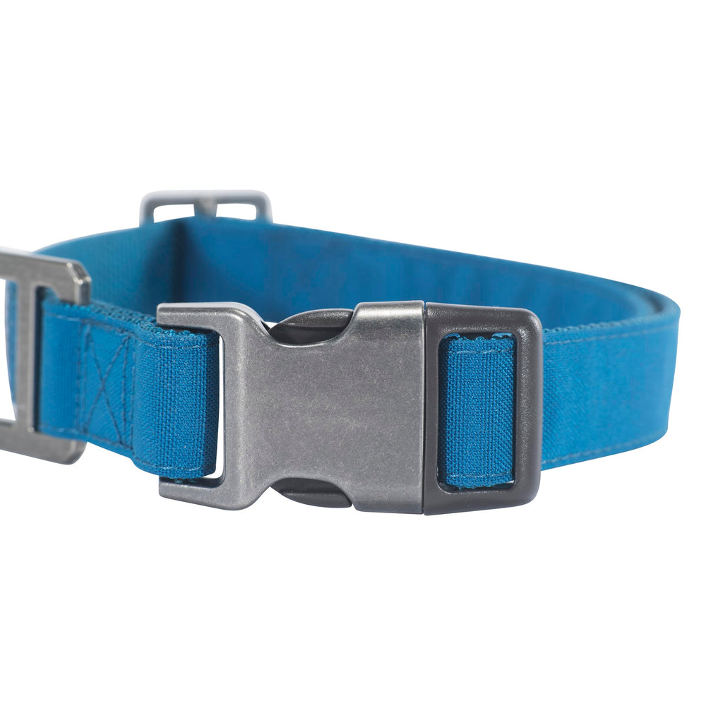 Carhartt collier en usage promenade améliorant visibilité nocturne