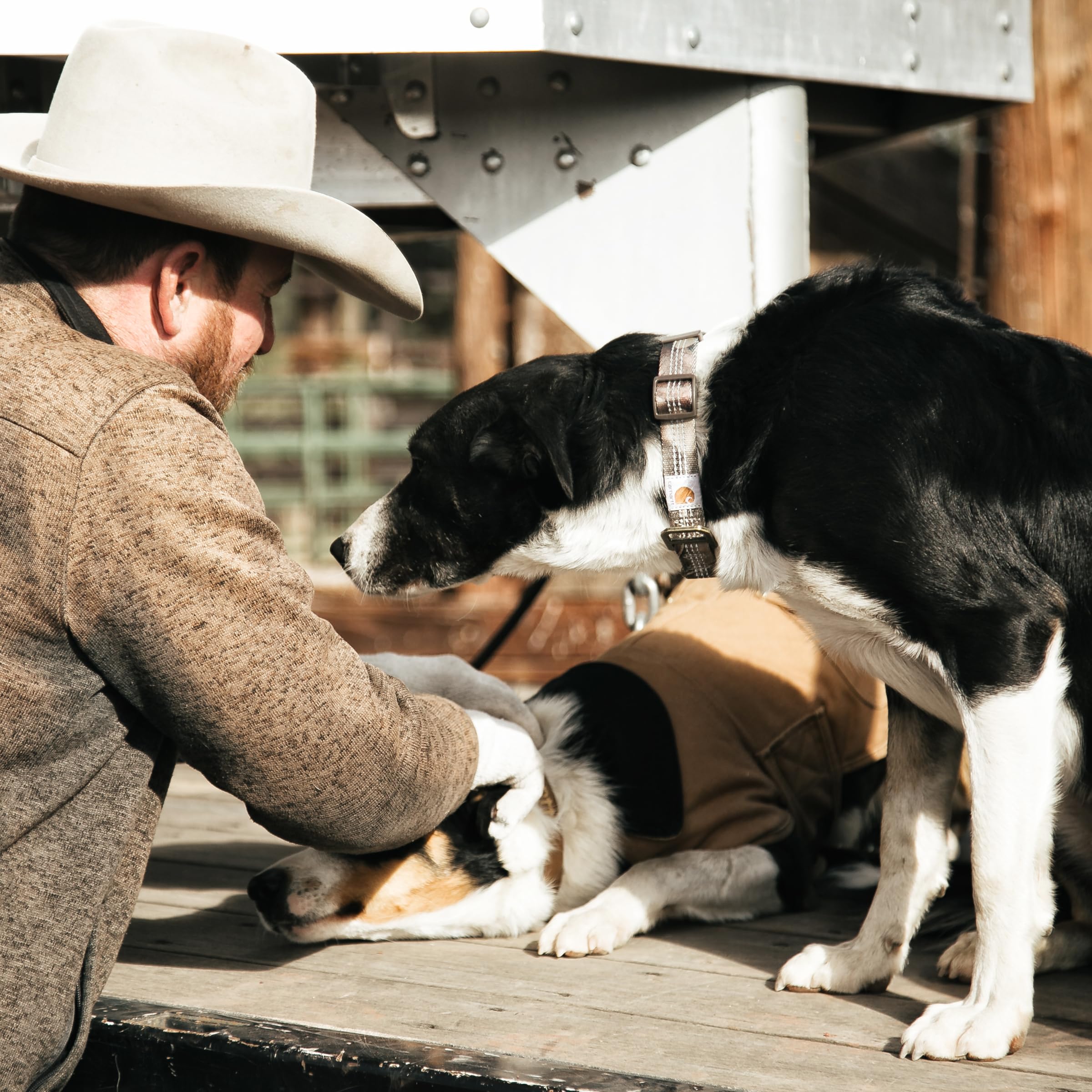 Carhartt assortiment de couleurs montrant options Carhartt Brown et autres
