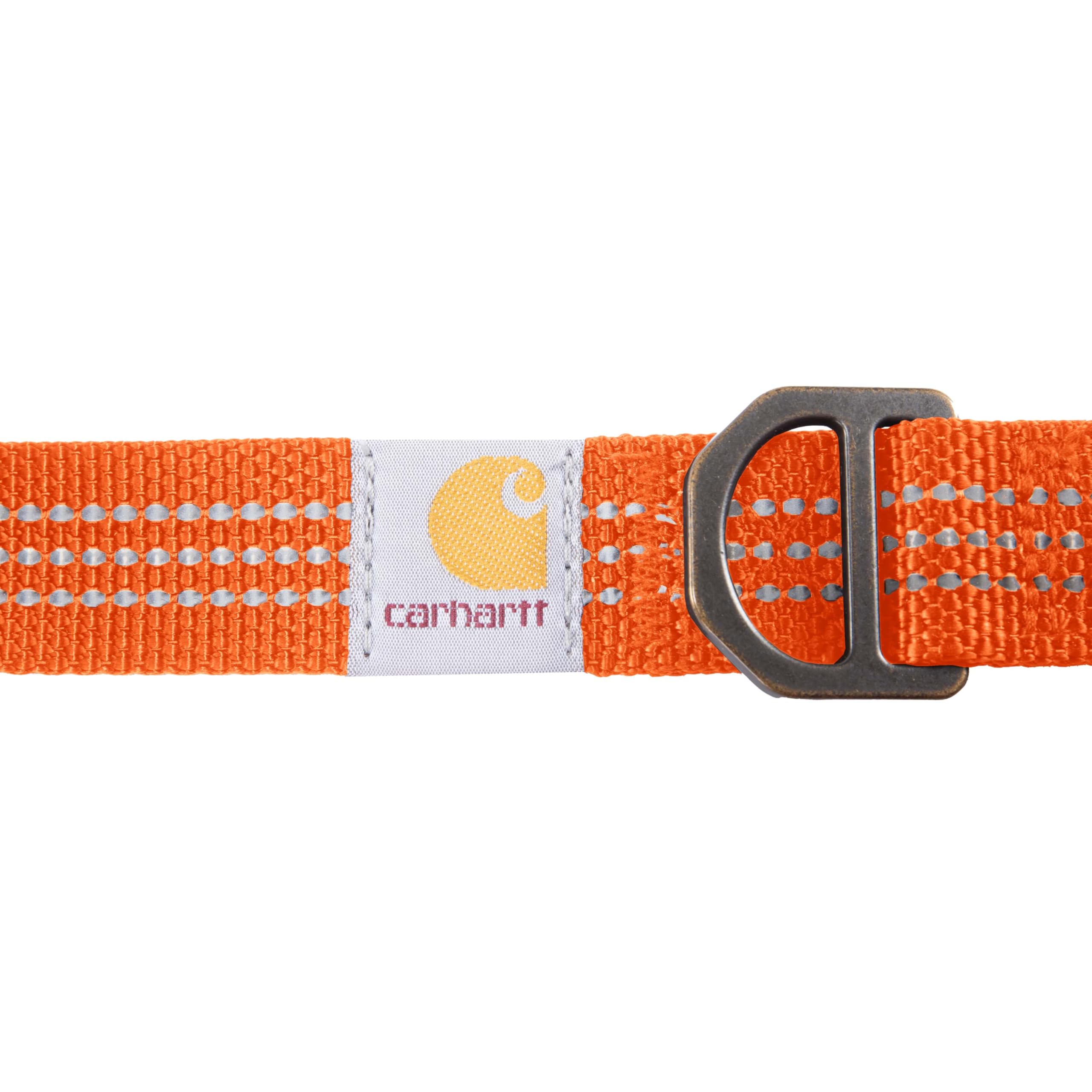 Anneau D-ring métallique Carhartt tenant laisse et médailles solidement