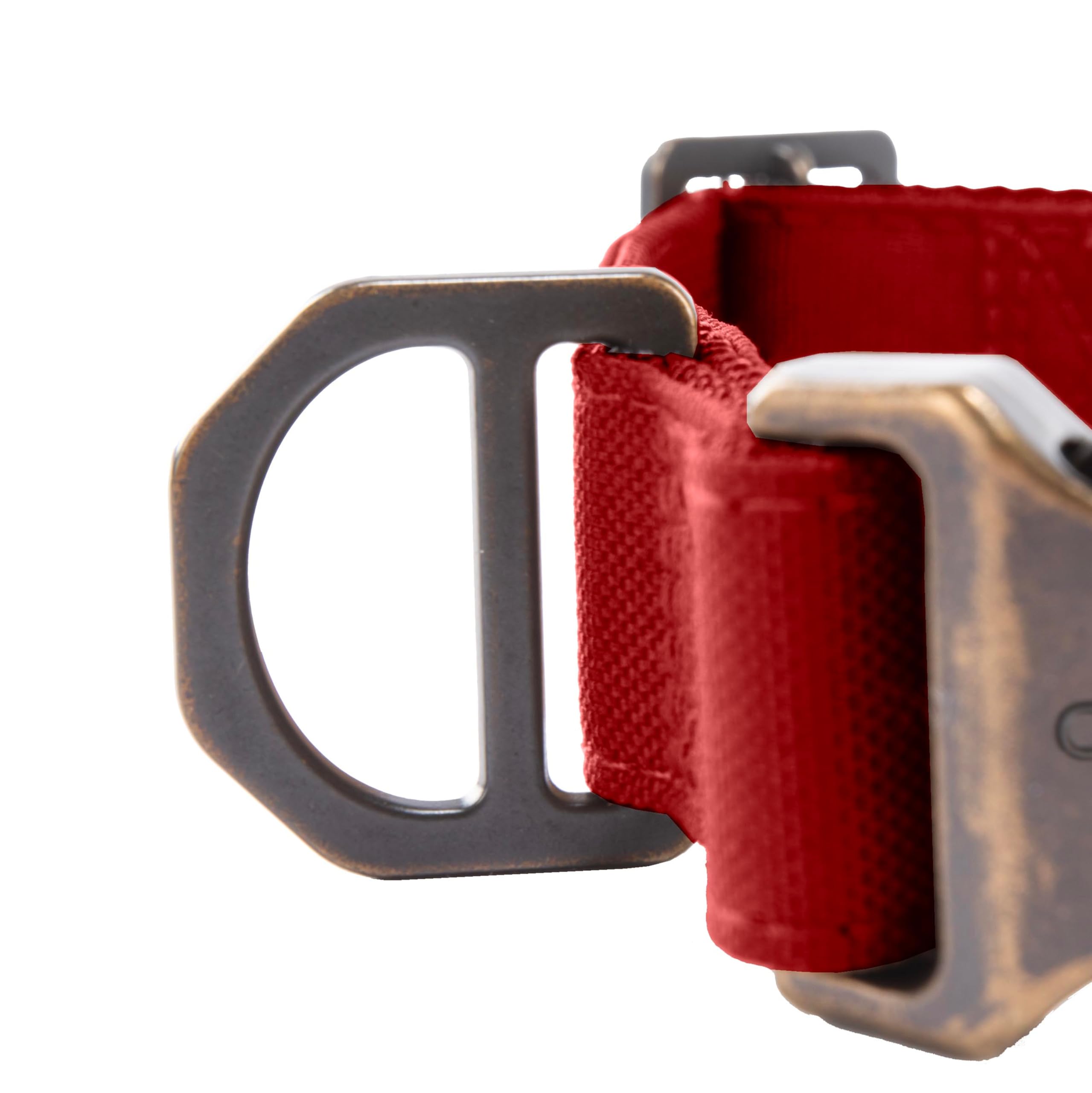 Carhartt collier porté par chien en randonnée, visibilité et durabilité