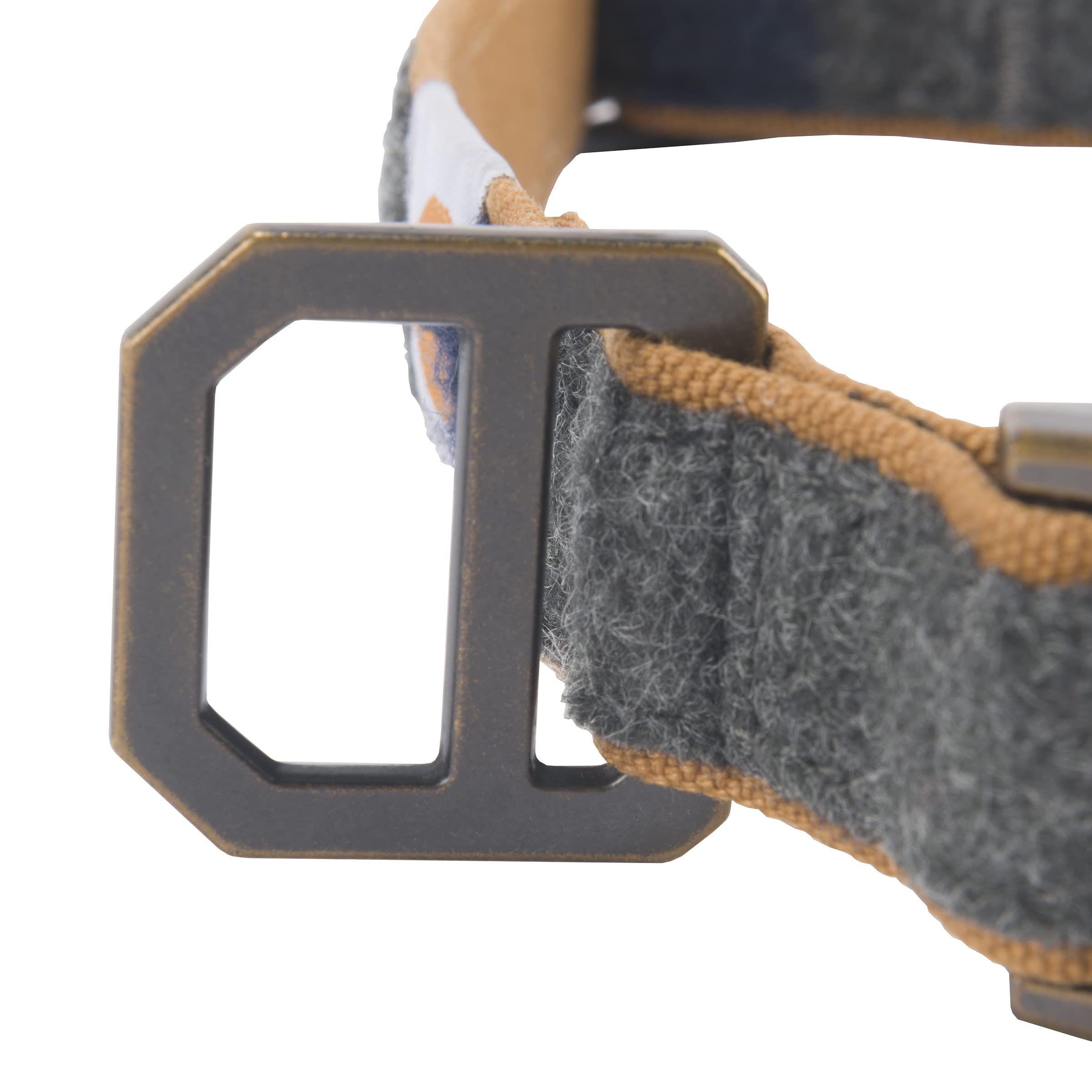 Chien portant Collier Carhartt en promenade montrant confort et visibilité