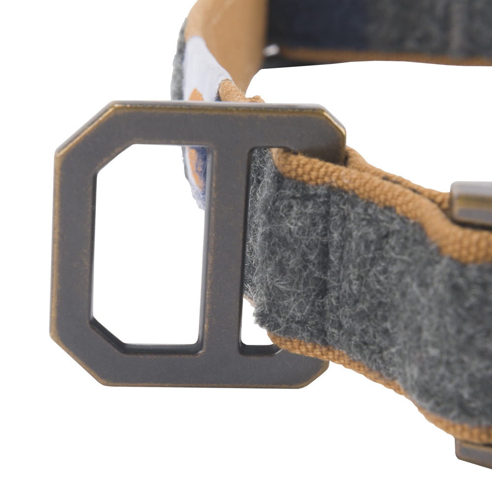 Chien portant Collier Carhartt en promenade montrant confort et visibilité