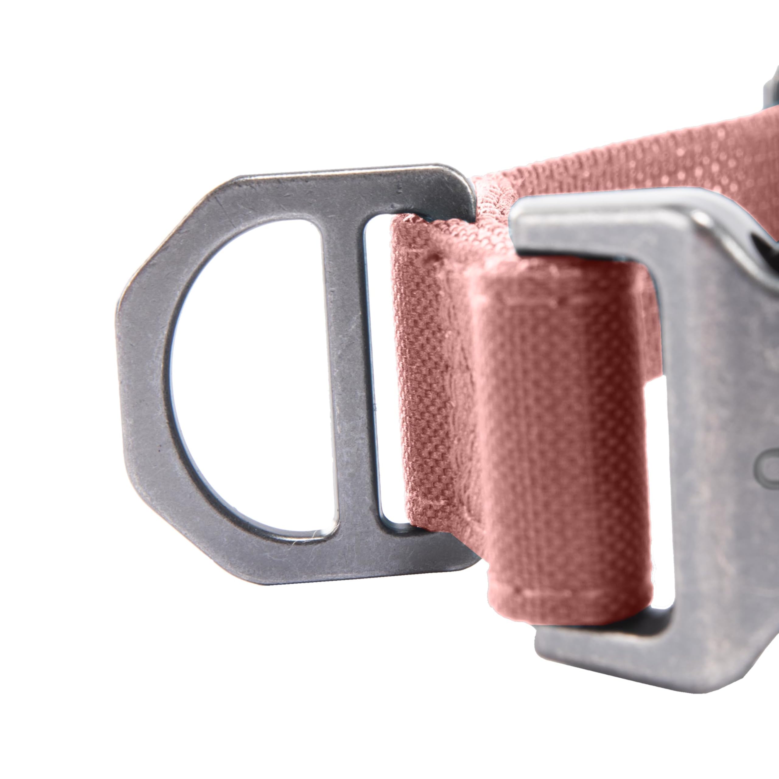 Comparaison taille Carhartt Medium sur cou de chien pour ajustement