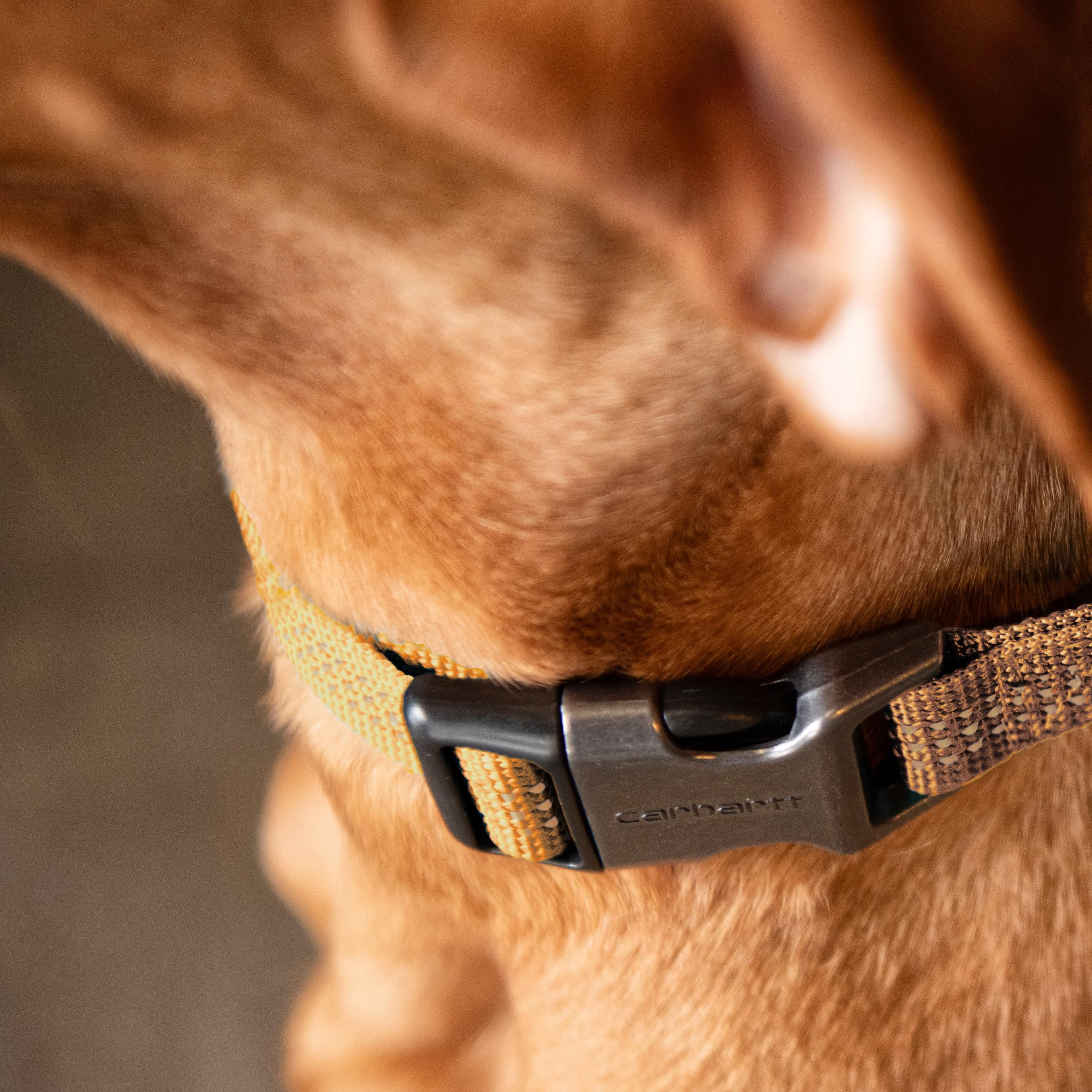 Carhartt collier posé sur règle pour montrer guide de taille précis
