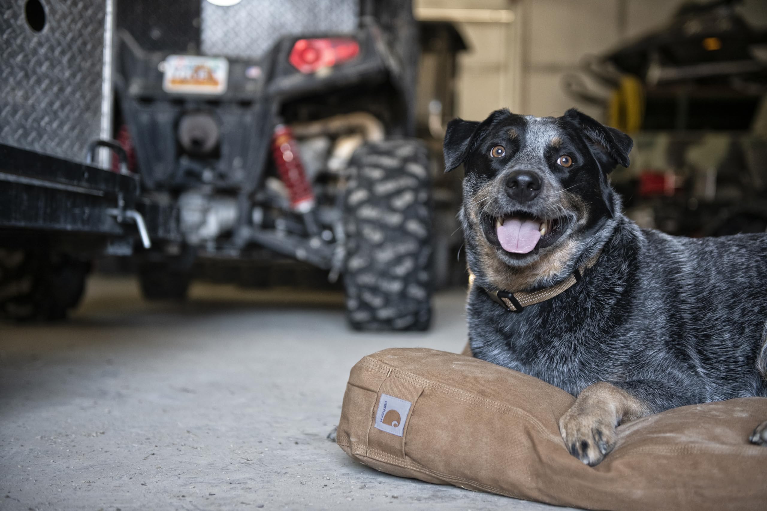 Carhartt lit installé dans un intérieur robuste pour repos durable du chien