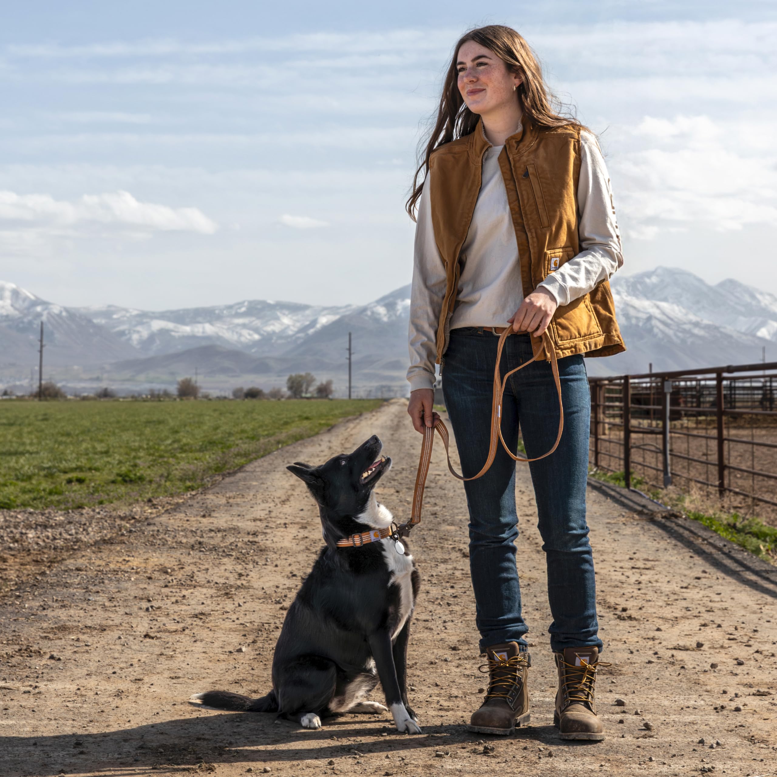 Carhartt laisse en usage avec poignée traffic pour contrôle rapproché