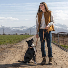 Carhartt laisse en usage avec poignée traffic pour contrôle rapproché