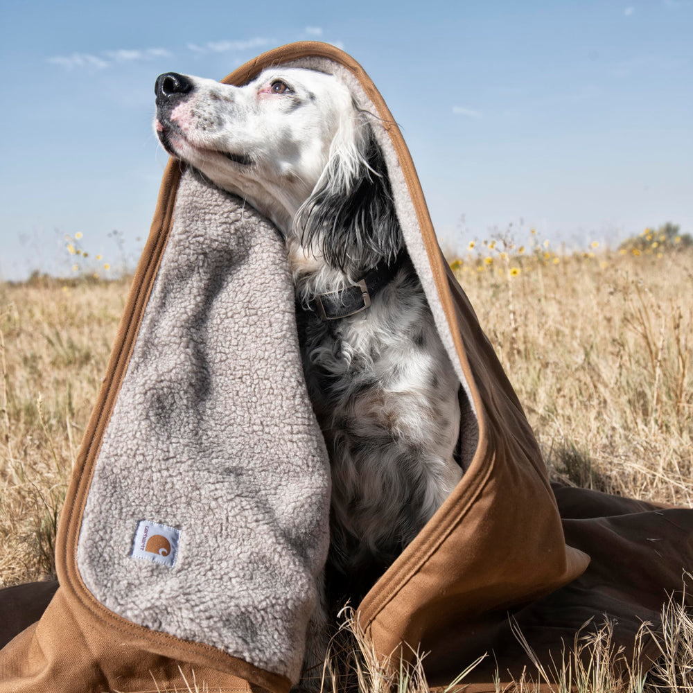 Carhartt plaid sur fauteuil de terrasse repoussant la pluie et facilitant nettoyage