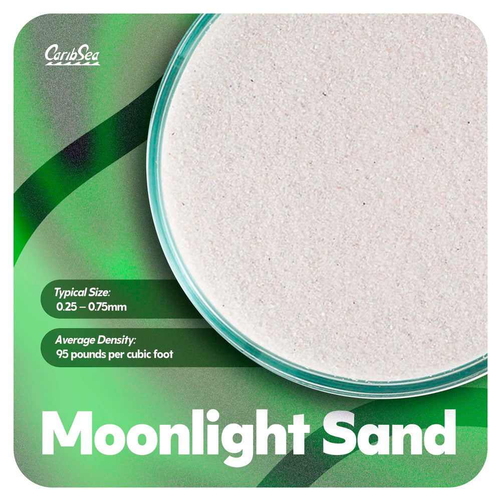 CaribSea Moonlight Sand à côté d'une règle, montre échelle et épaisseur recommandée