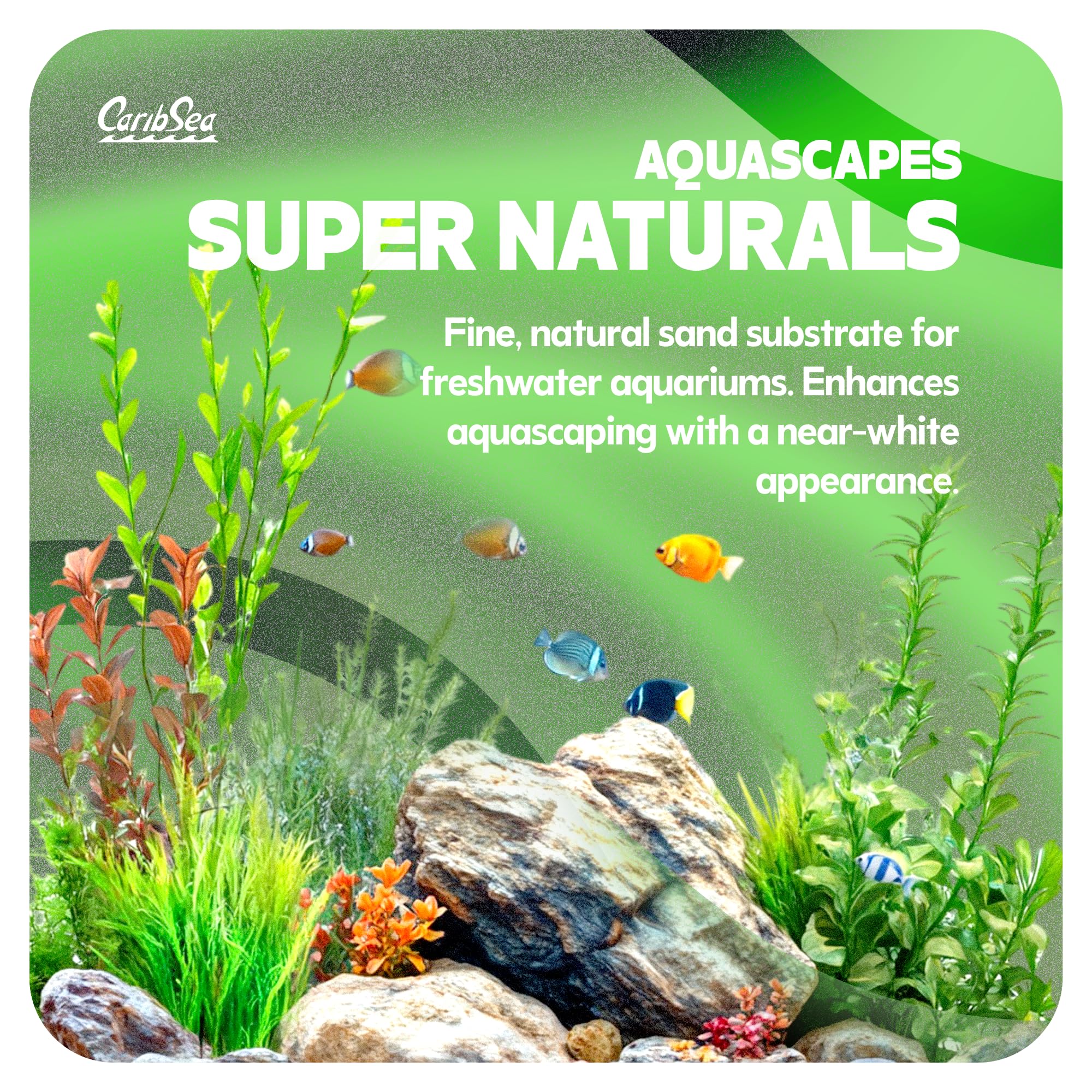 CaribSea gros plan sur grains de Moonlight Sand, texture fine favorise enracinement