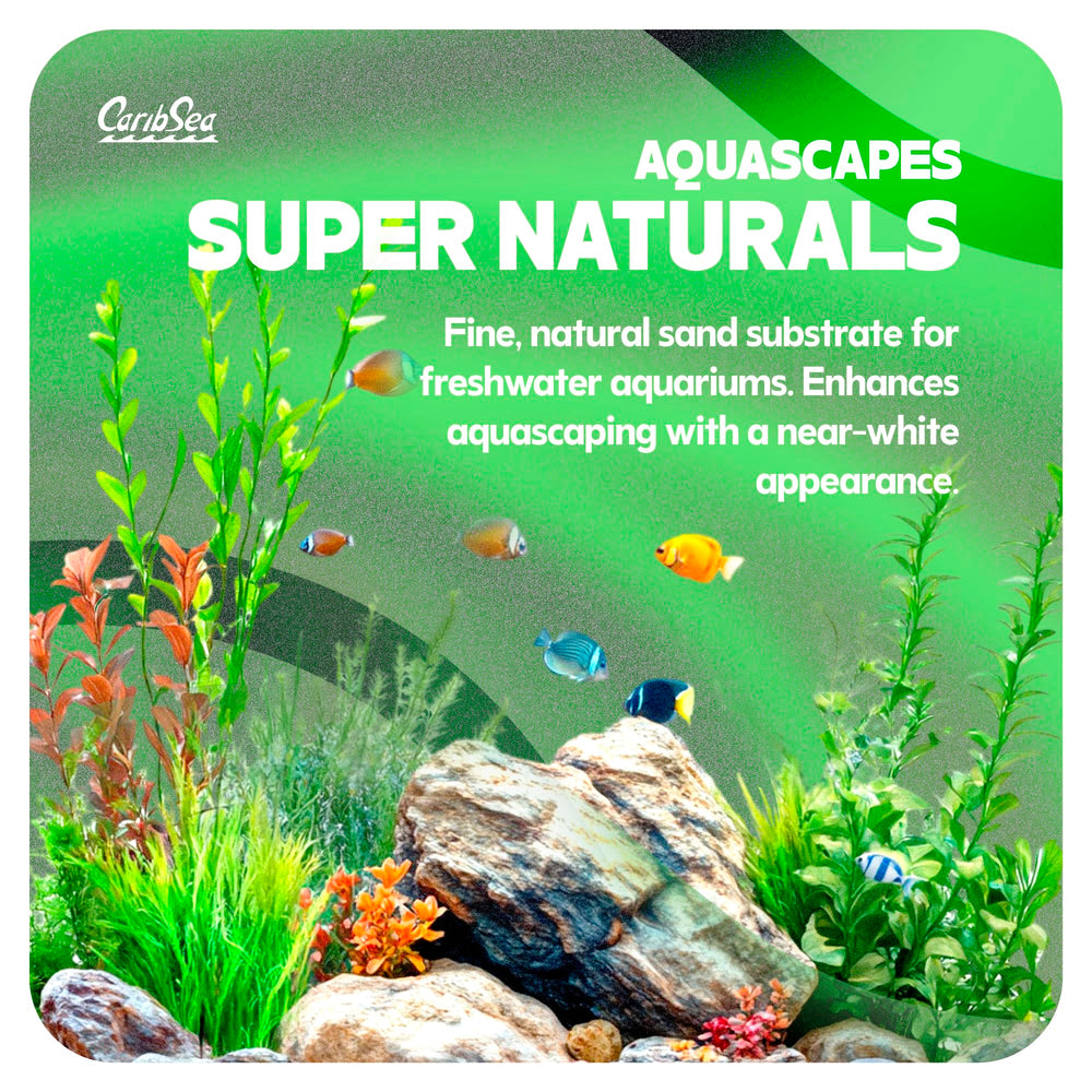 CaribSea gros plan sur grains de Moonlight Sand, texture fine favorise enracinement