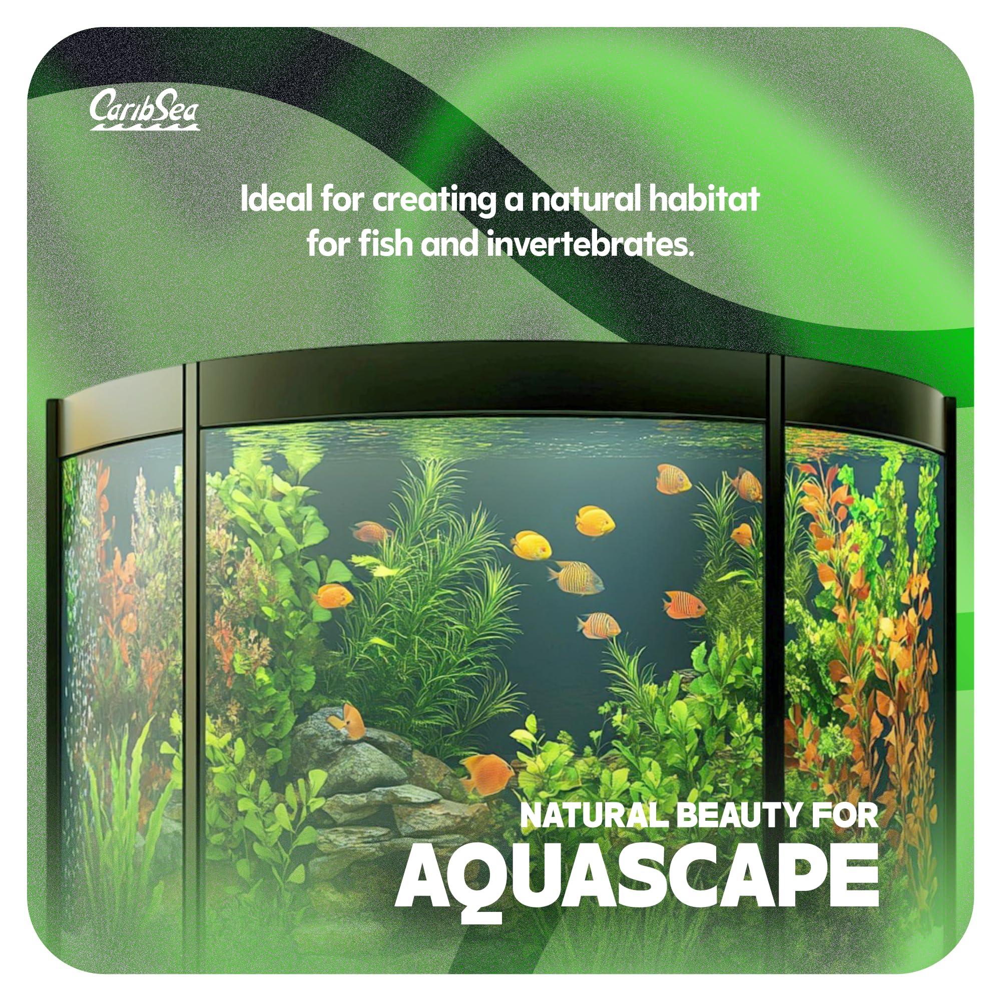 CaribSea Moonlight Sand autour des racines de plantes, stabilise et sécurise l'ancrage
