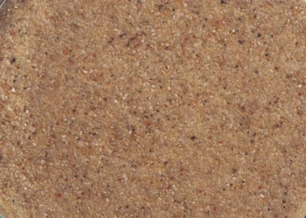 Carib Sea sable Sunset Gold installé dans aquarium qui valorise couleurs des poissons