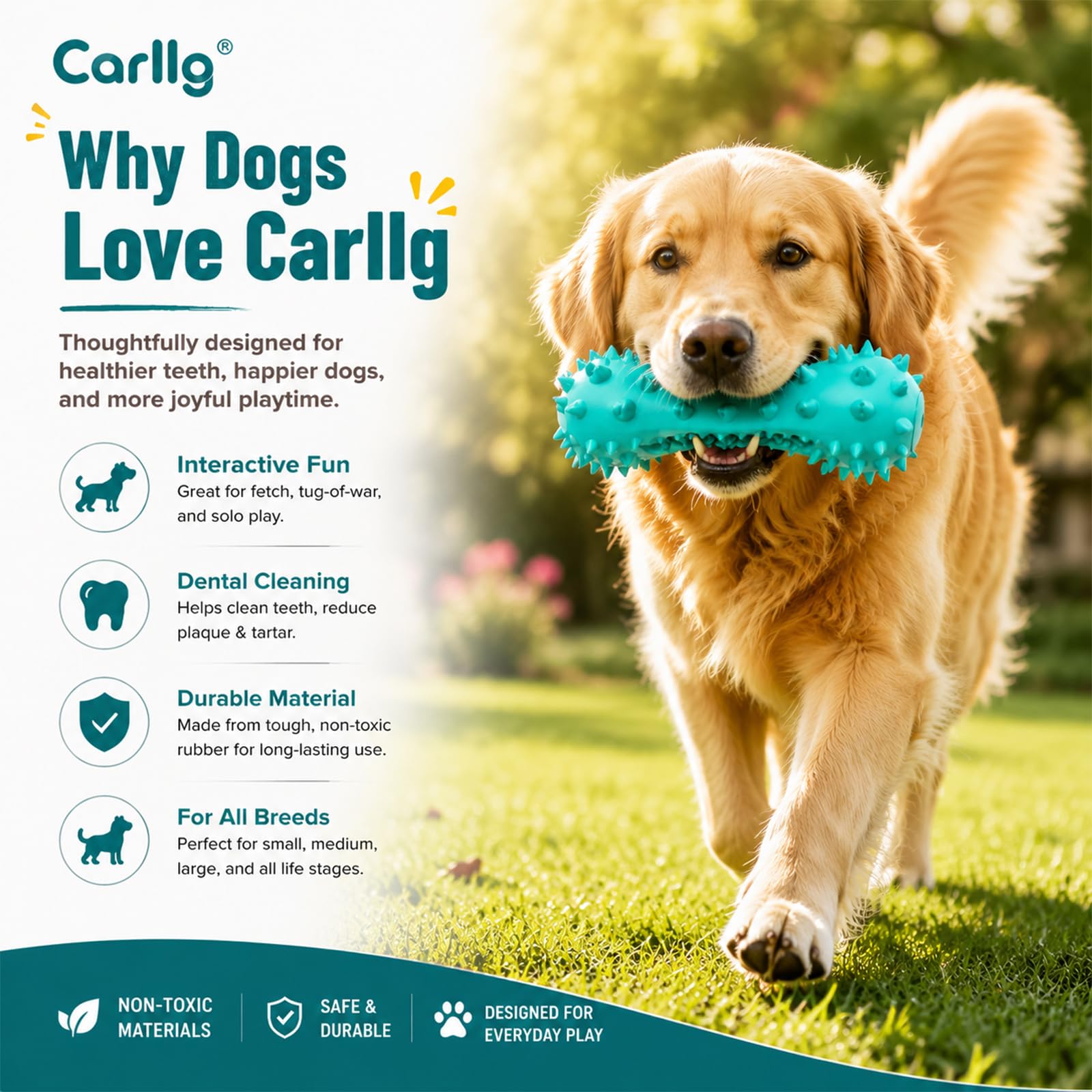 Carllg embouts avec sifflets intégrés attirant l’attention du chien