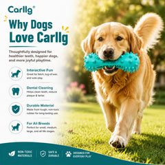 Carllg embouts avec sifflets intégrés attirant l’attention du chien