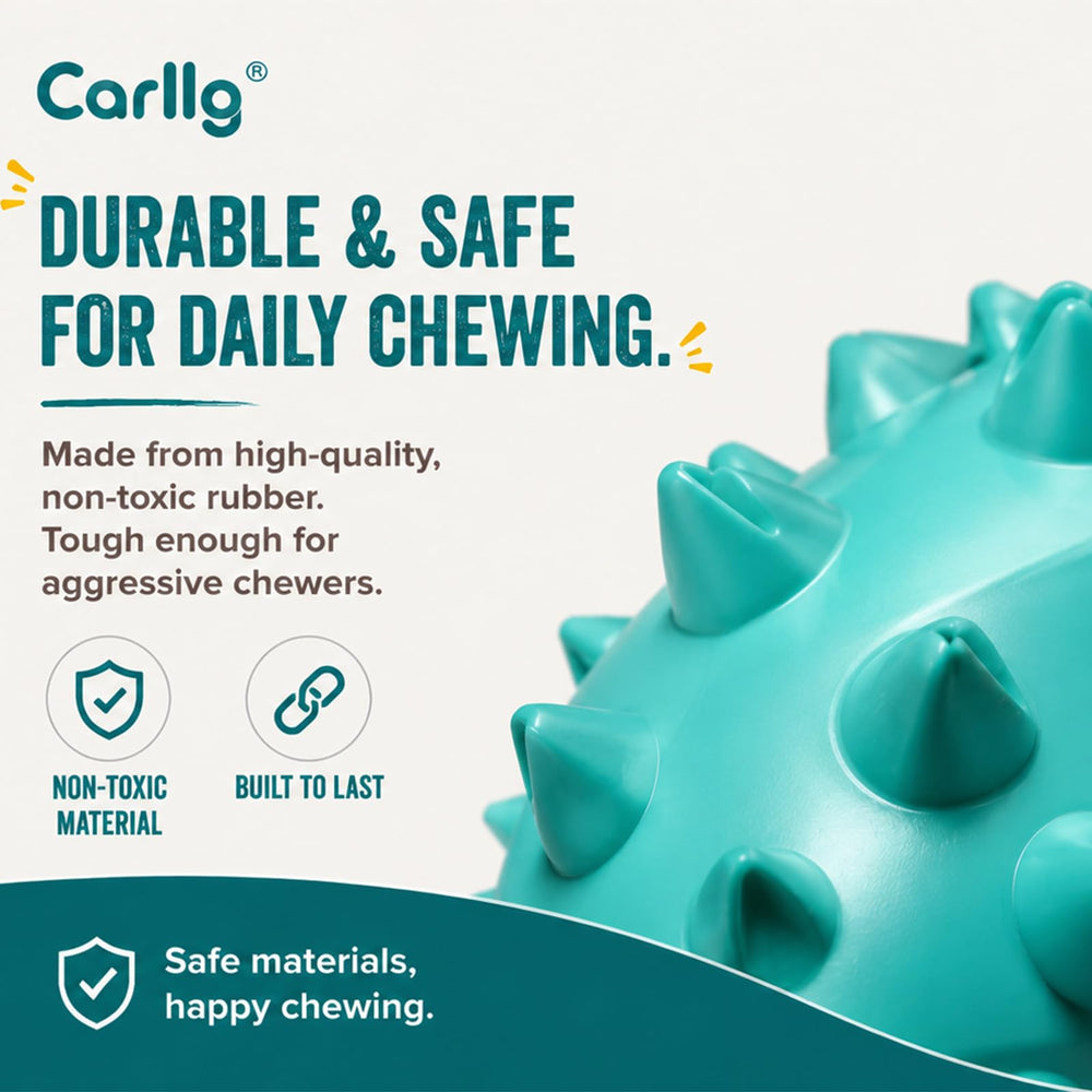 Carllg vue du canal nettoyant pour dentifrice, aide à l’hygiène dentaire