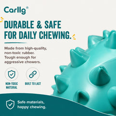 Carllg vue du canal nettoyant pour dentifrice, aide à l’hygiène dentaire