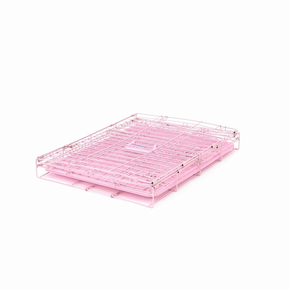 Carlson Pet Products caisse rose dans coffre, idéale pour voyage