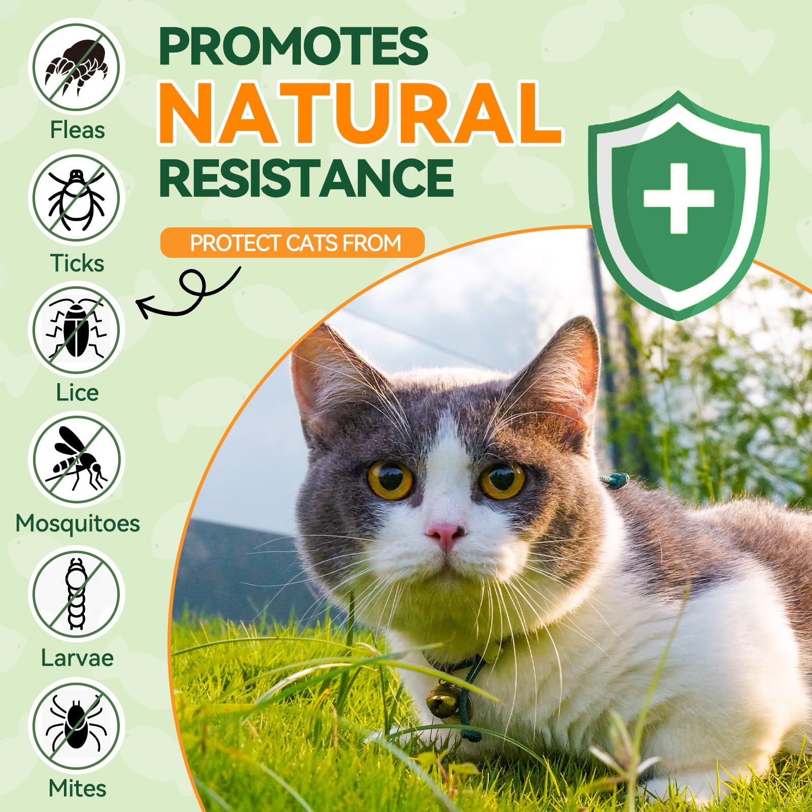 Carmelie chat mange comprimé goût poulet acceptation facile