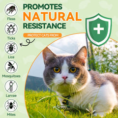 Carmelie chat mange comprimé goût poulet acceptation facile