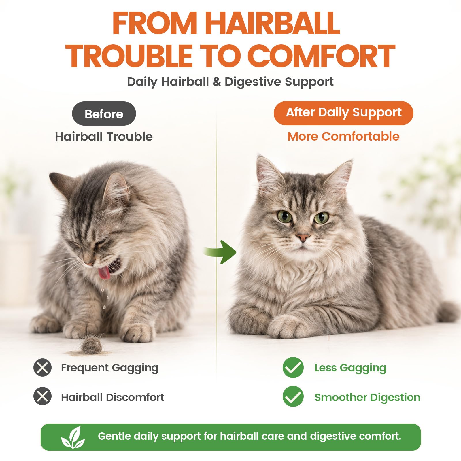 Chat mange friandise Carmelie, stimulation naturelle et acceptation élevée