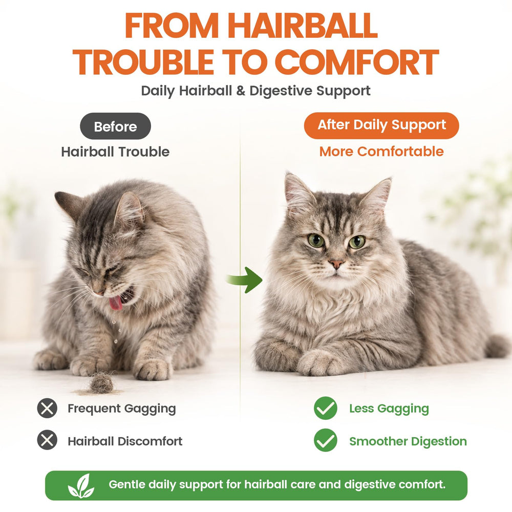 Chat mange friandise Carmelie, stimulation naturelle et acceptation élevée