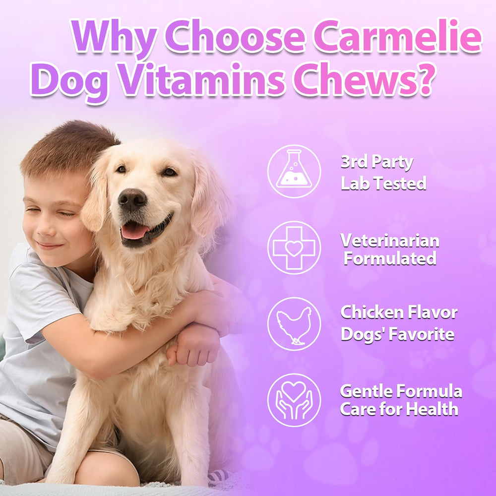 Carmelie croquettes données à un chien, favorise acceptation et plaisir