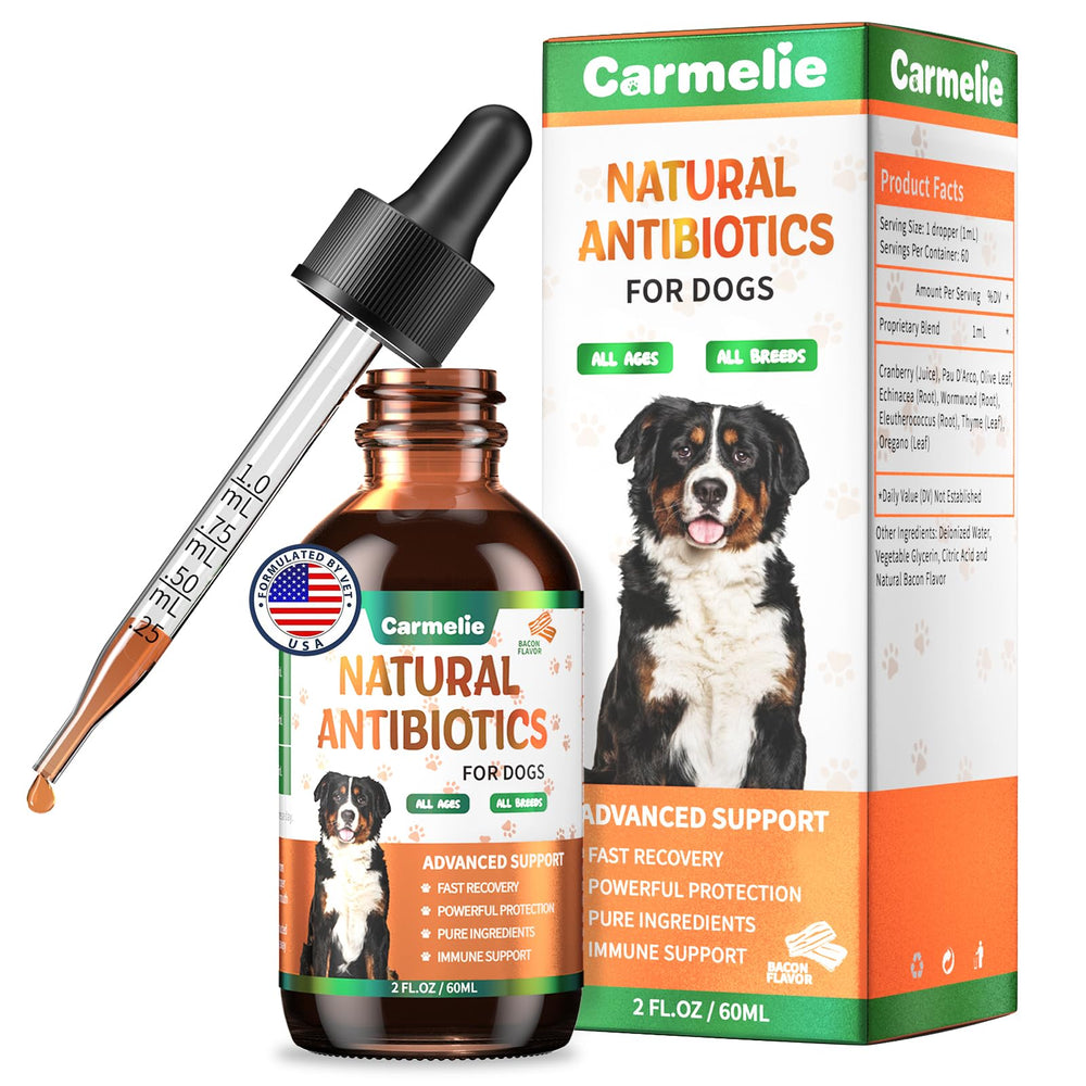 Carmelie produit en situation avec chien actif illustrant vitalité retrouvée