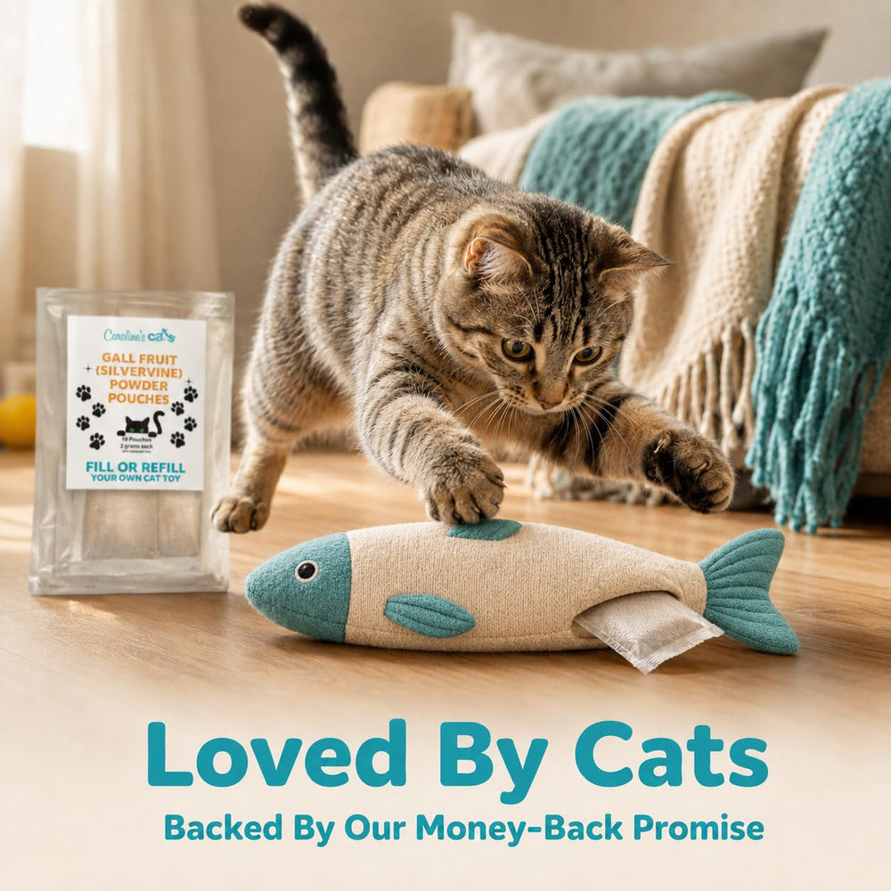 Caroline's Cats comparaison d'échelle du sachet, visualise la portion de 2 g