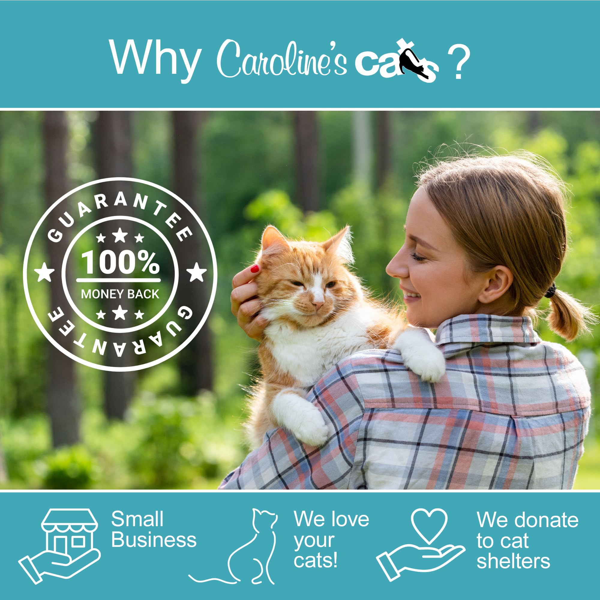 Caroline's Cats scène de salon avec chat jouant et intérieur propre