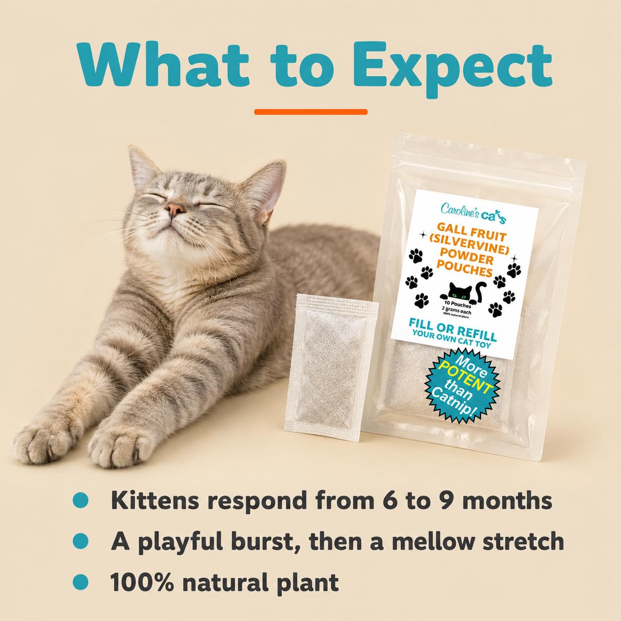 Caroline's Cats sachets placés dans un lit de chat, provoque confort et curiosité