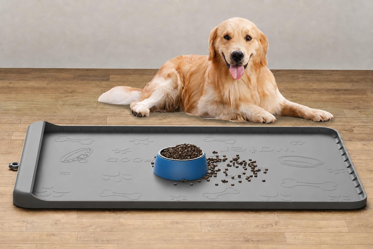 Carry360 tapis face avant montrant dimensions et protection du sol