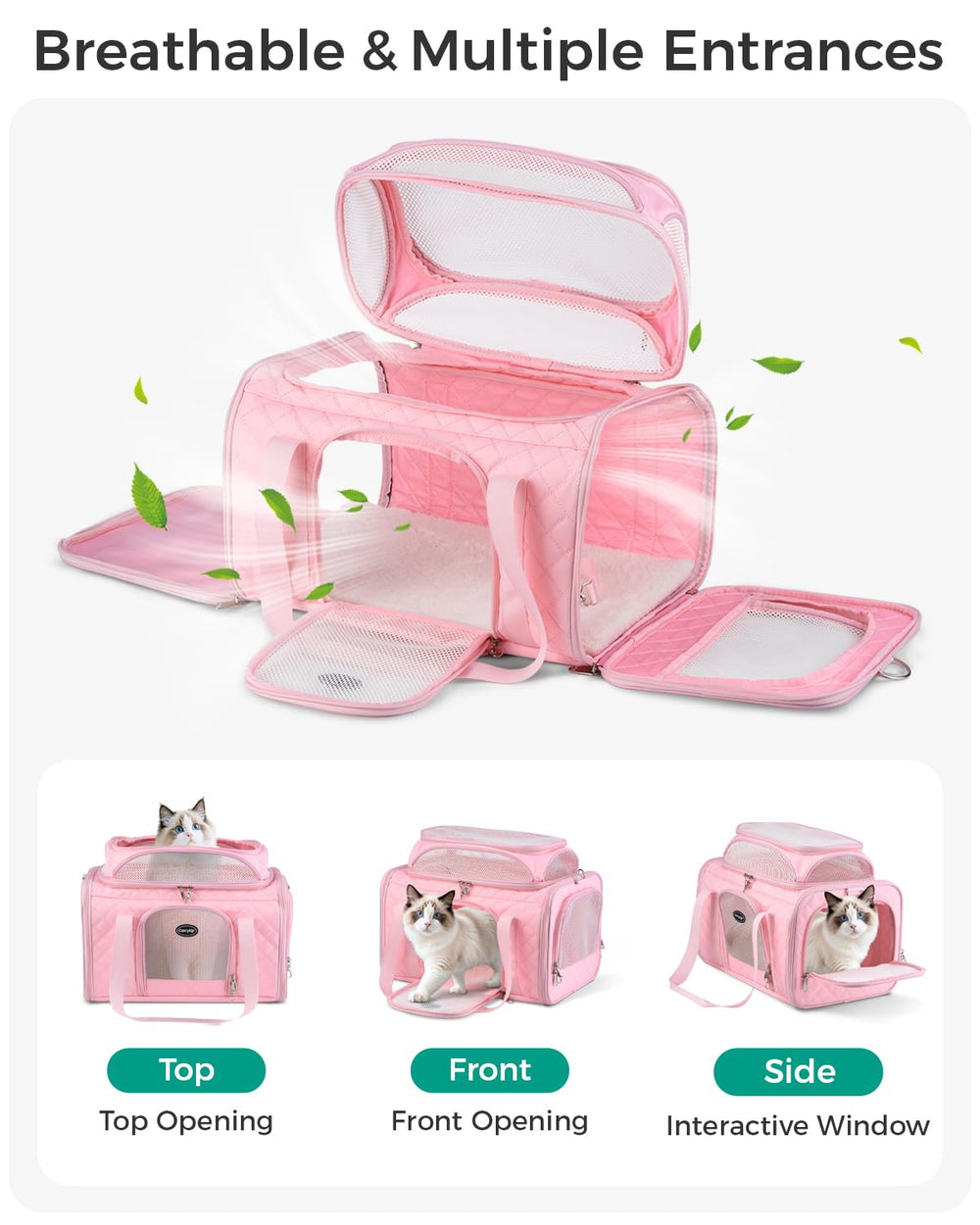 CarryTip dessus extensible ouvert ajoutant 4 pouces d'espace pour l'animal