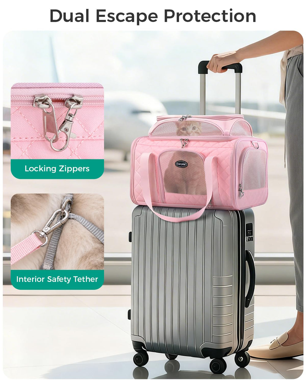 CarryTip intérieur avec coussin amovible offrant confort lavable