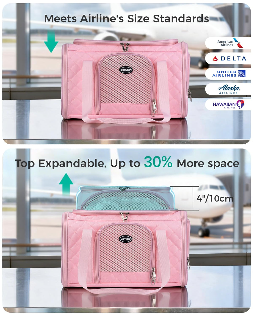 CarryTip manche arrière sur valise pour transport stable en voyage