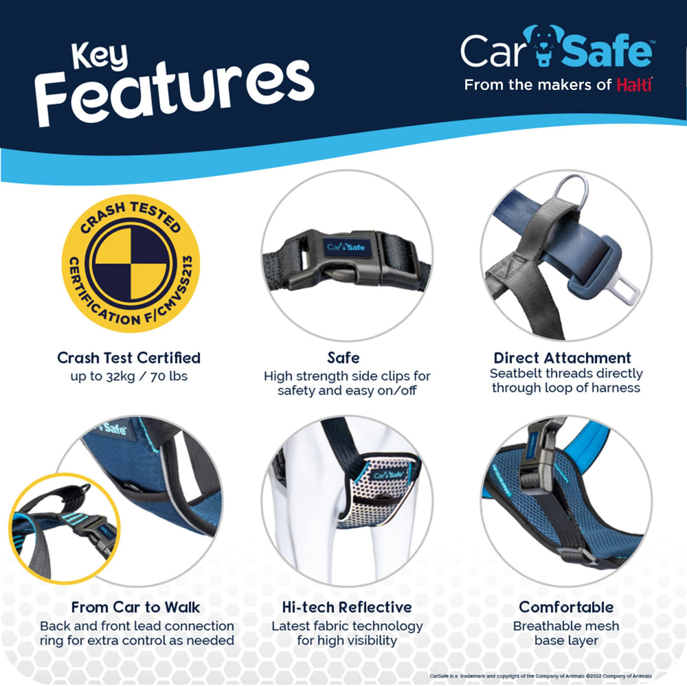 CarSafe harnais fixé en voiture stabilise votre chien