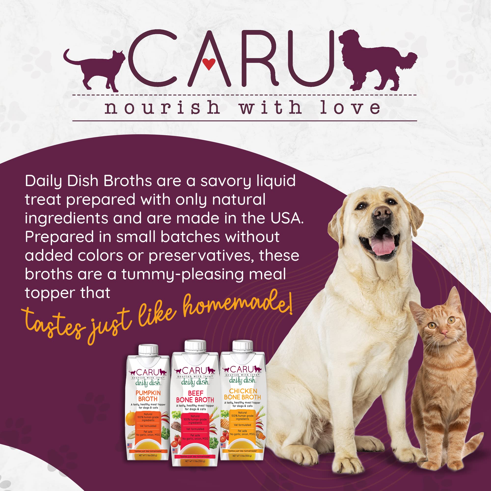 Caru scène de vie gamelle prête repas attrayant pour chiens et chats
