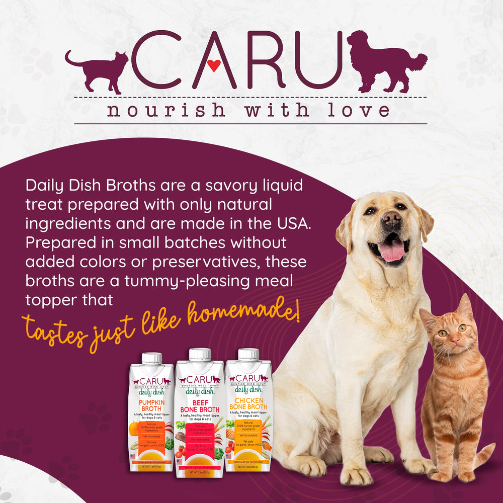 Caru scène de vie gamelle prête repas attrayant pour chiens et chats