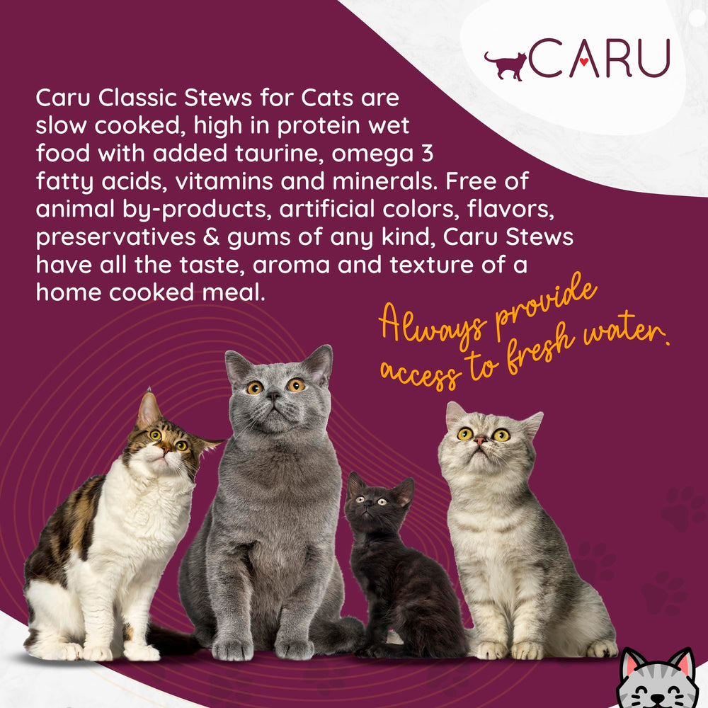Caru service dans un bol, chat mangeant, favorise appétit